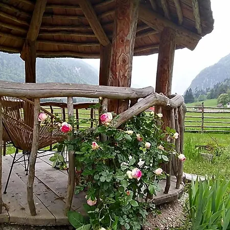 Hotell Alpi Giulie