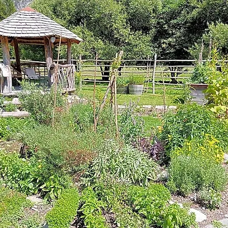 Alpi Giulie *