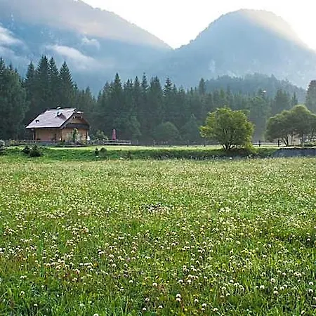 Hotell Alpi Giulie *